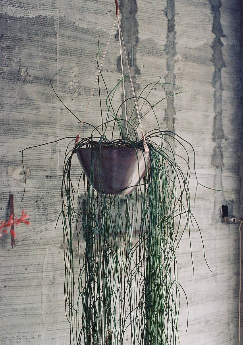 copper pot TYPE #9 〈bordeaux〉 – Blumo