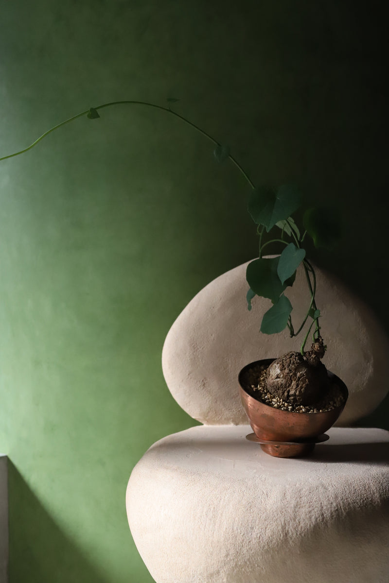 copper pot TYPE #1 〈bordeaux〉 – Blumo