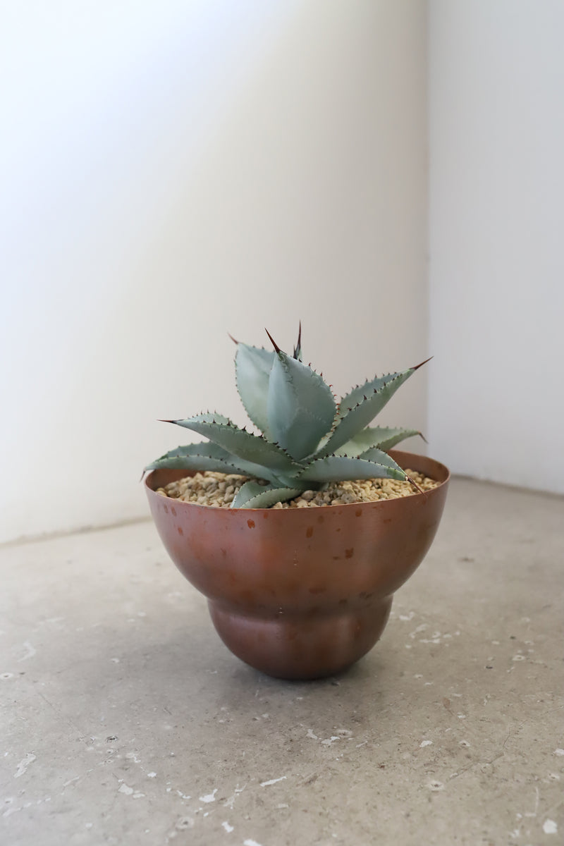 copper pot TYPE #4〈bordeaux〉 – Blumo