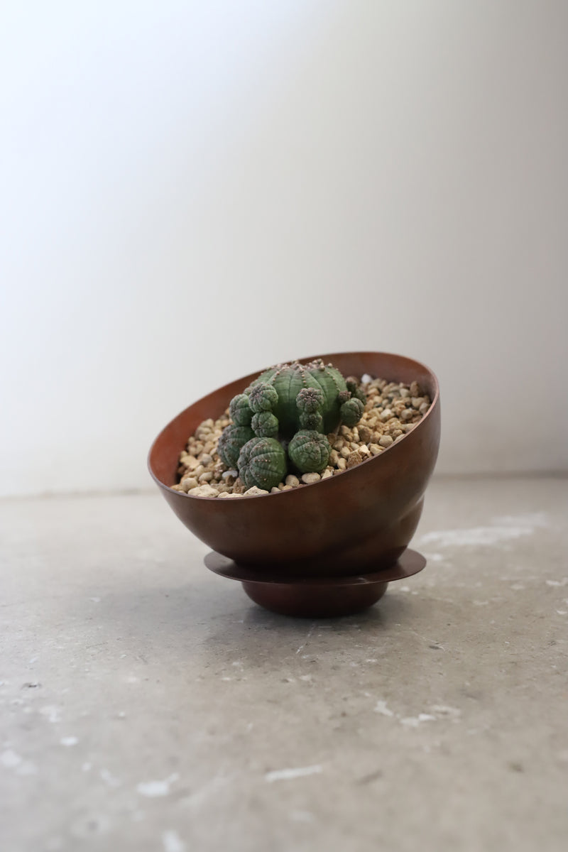 copper pot TYPE #1 〈bordeaux〉 – Blumo