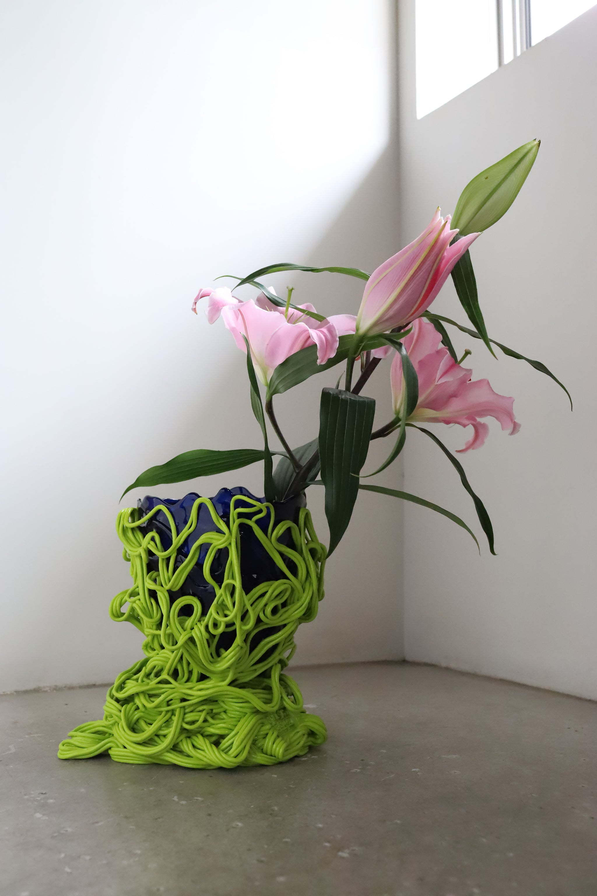 7_403825dd-829f-4f60-ba9e-