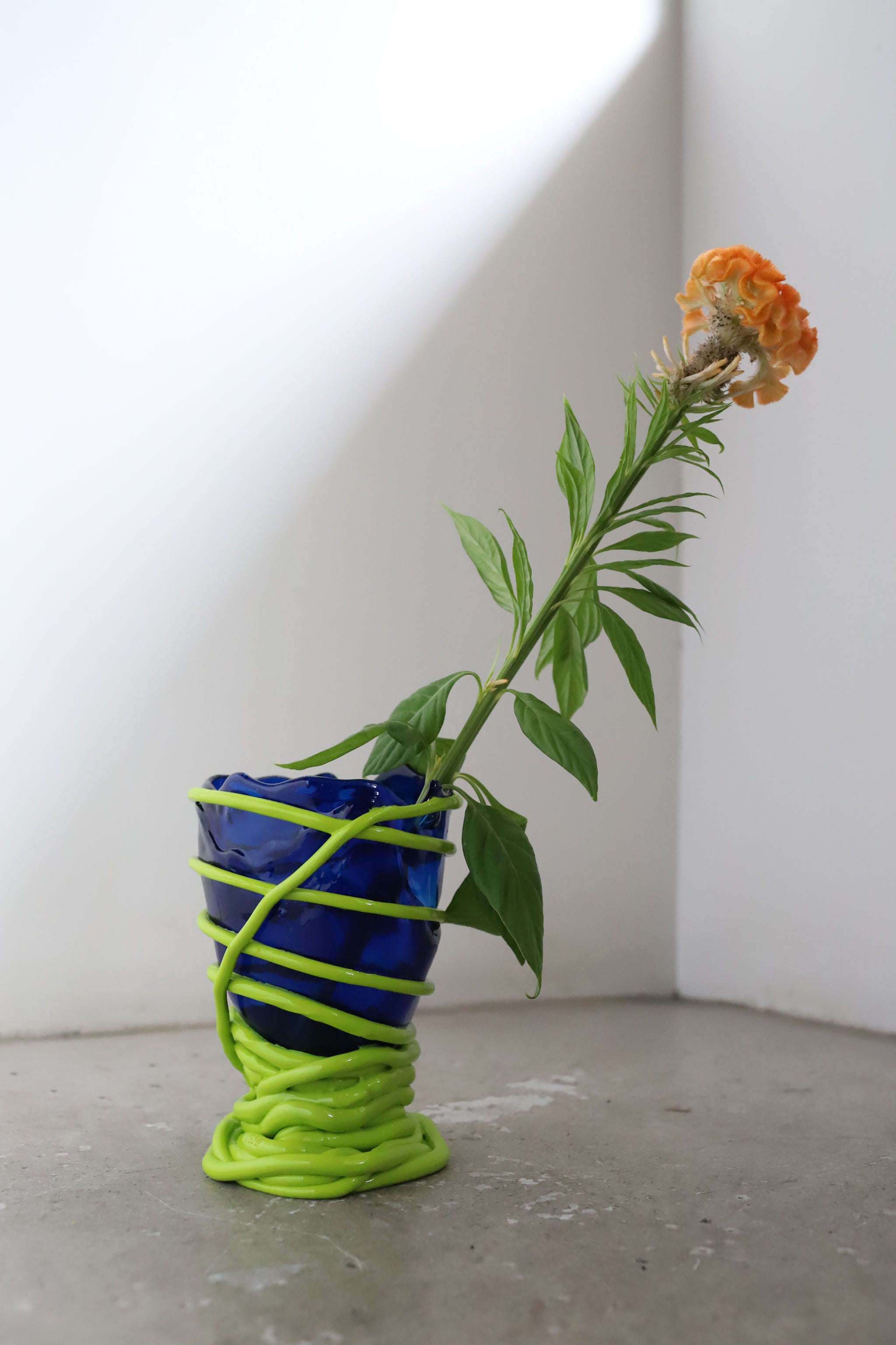 Clear Extra Colour Vase - Fish Design by Gaetano Pesce – Blumo