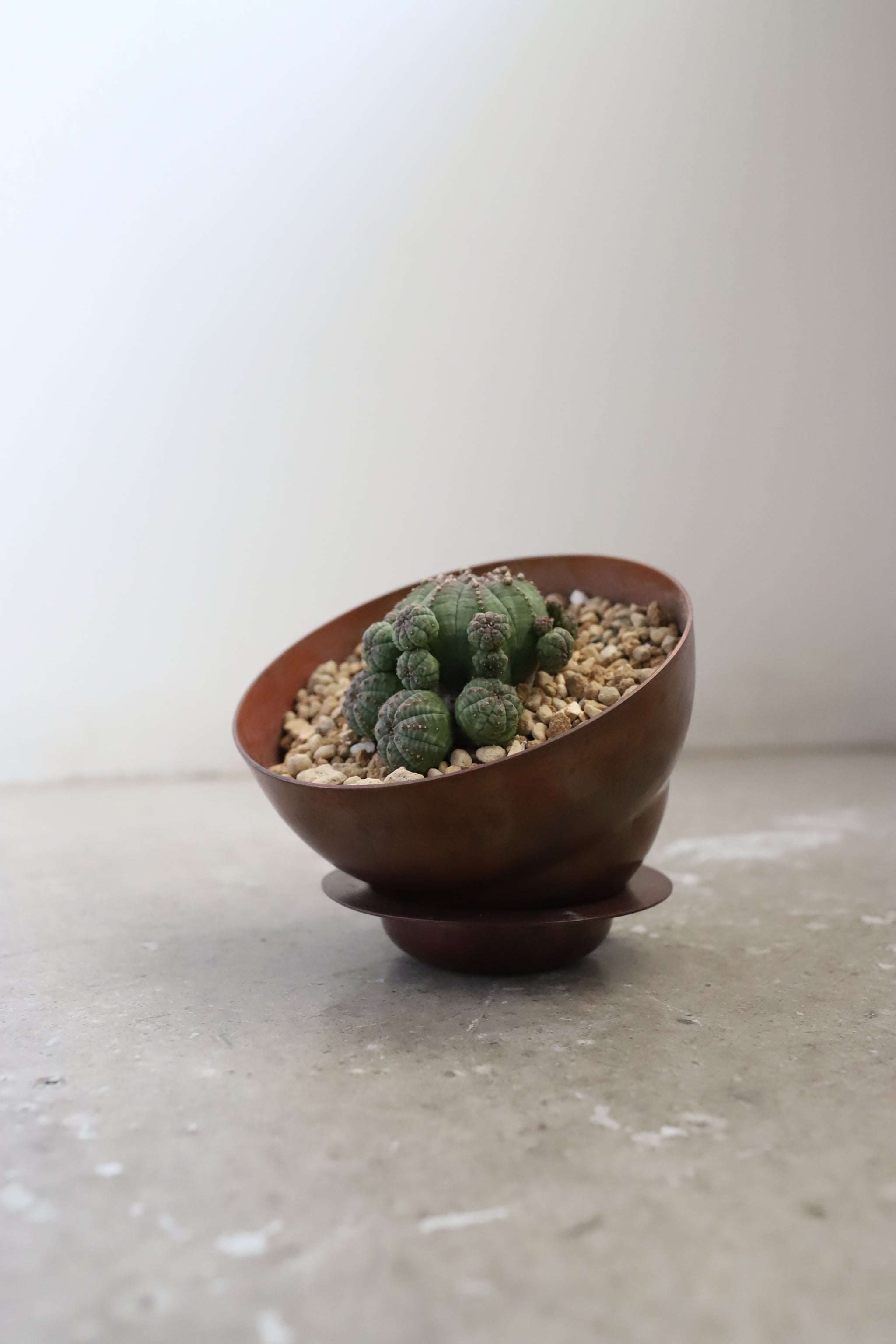 copper pot TYPE #1 〈bordeaux〉 – Blumo