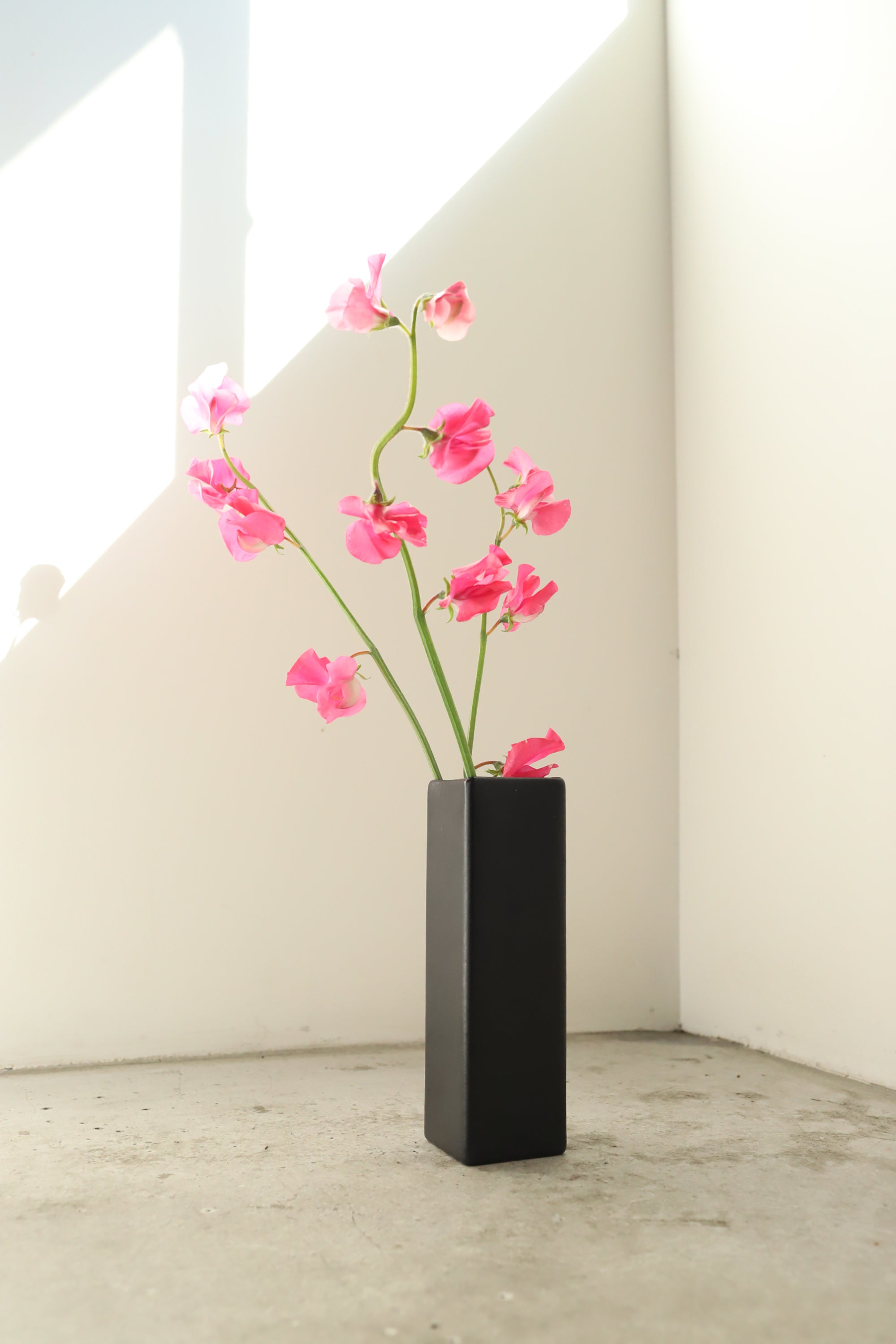 January Vase #12