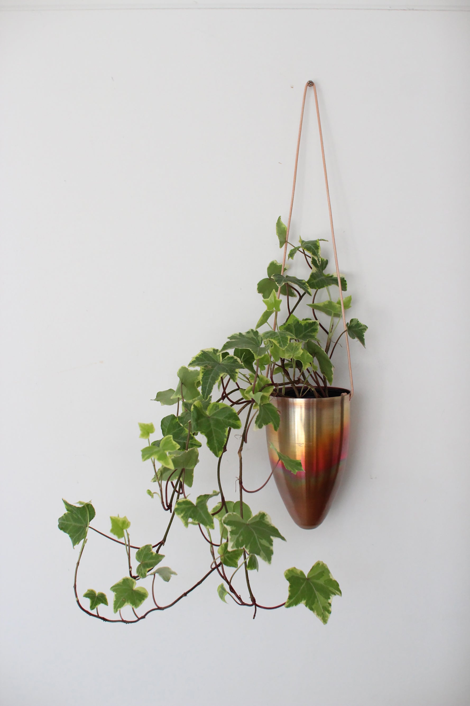 copper pot – Blumo