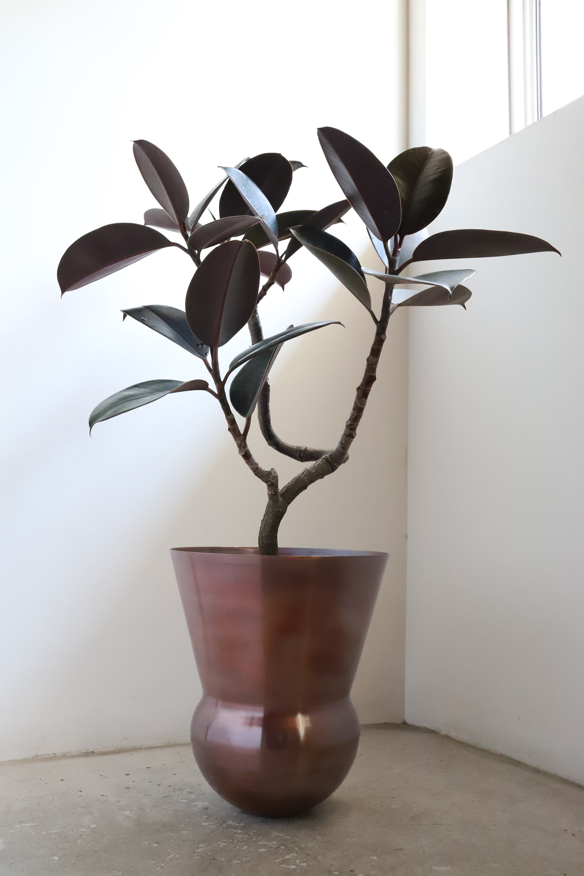 copper pot TYPE #8 〈bordeaux〉 – Blumo