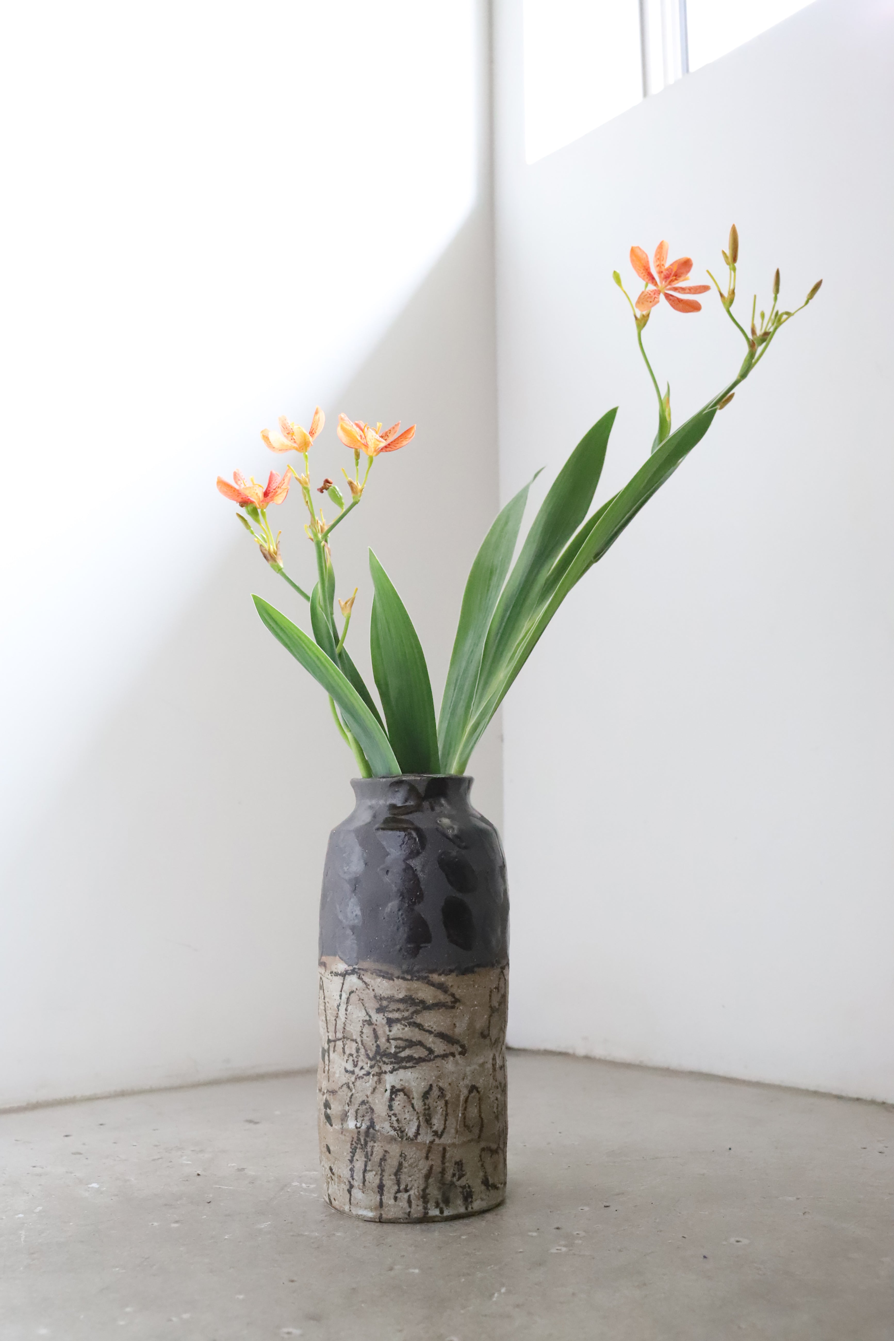 Hiroki Miura 〈Vase〉#1