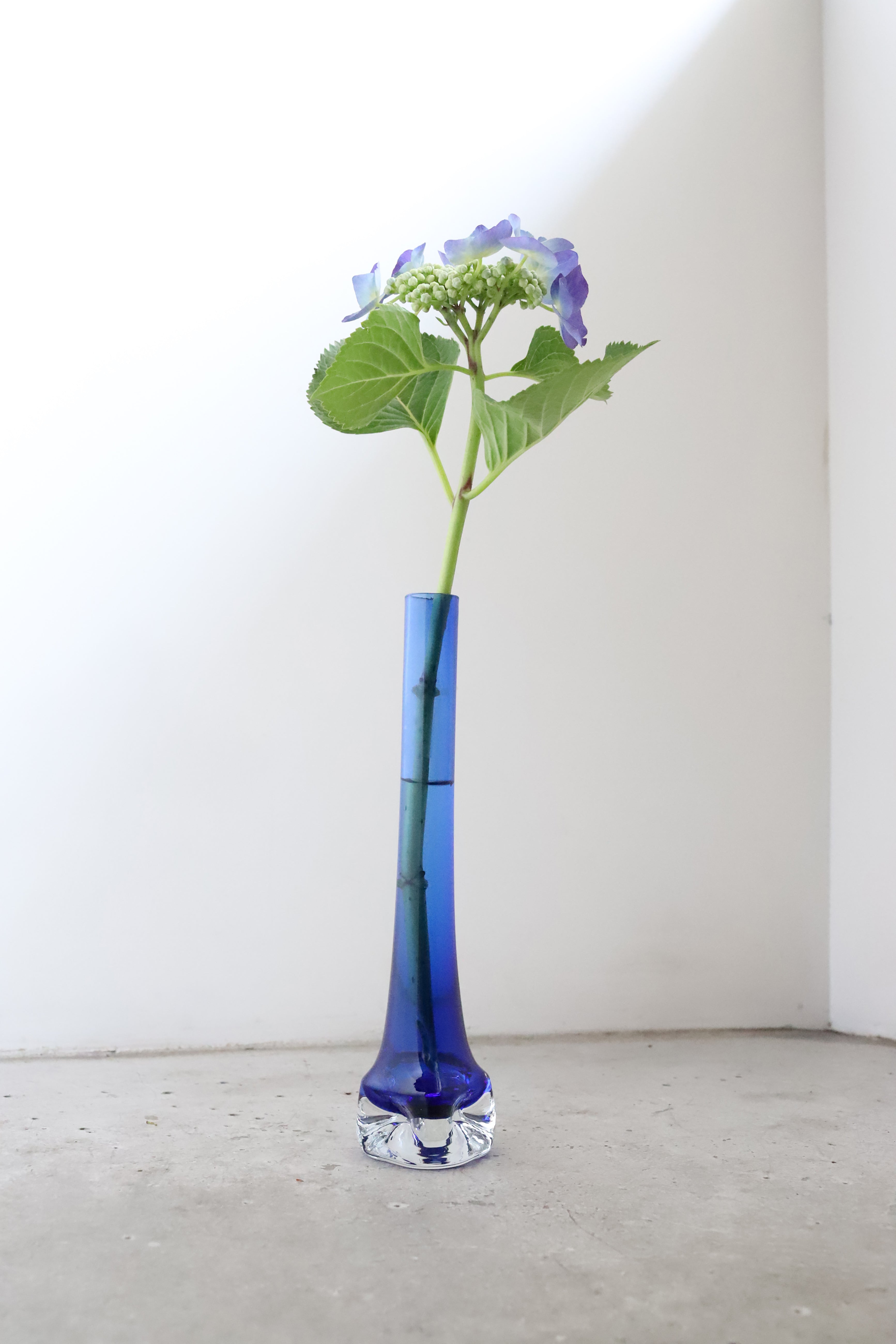 June Vase #8