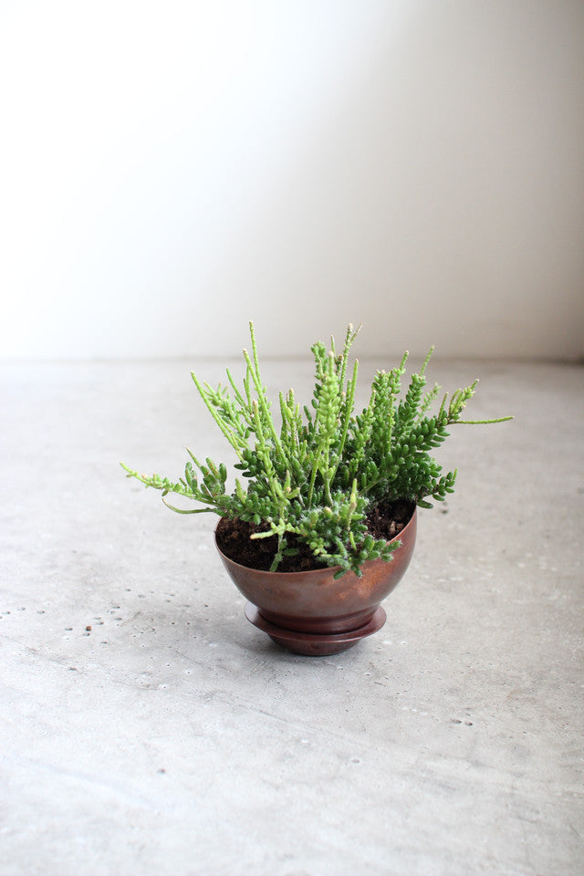 copper pot TYPE #1 〈bordeaux〉 – Blumo