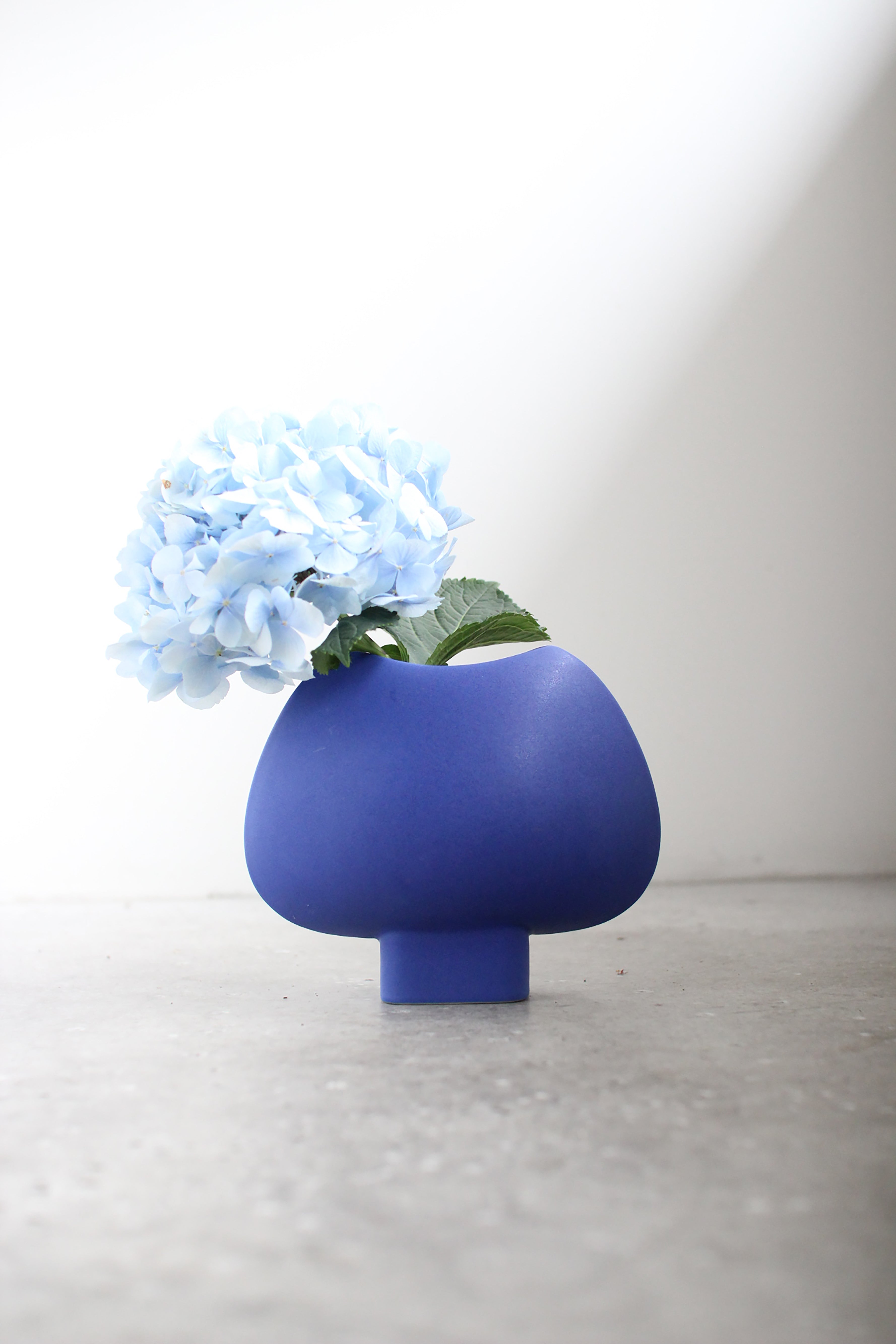 August Vase #16