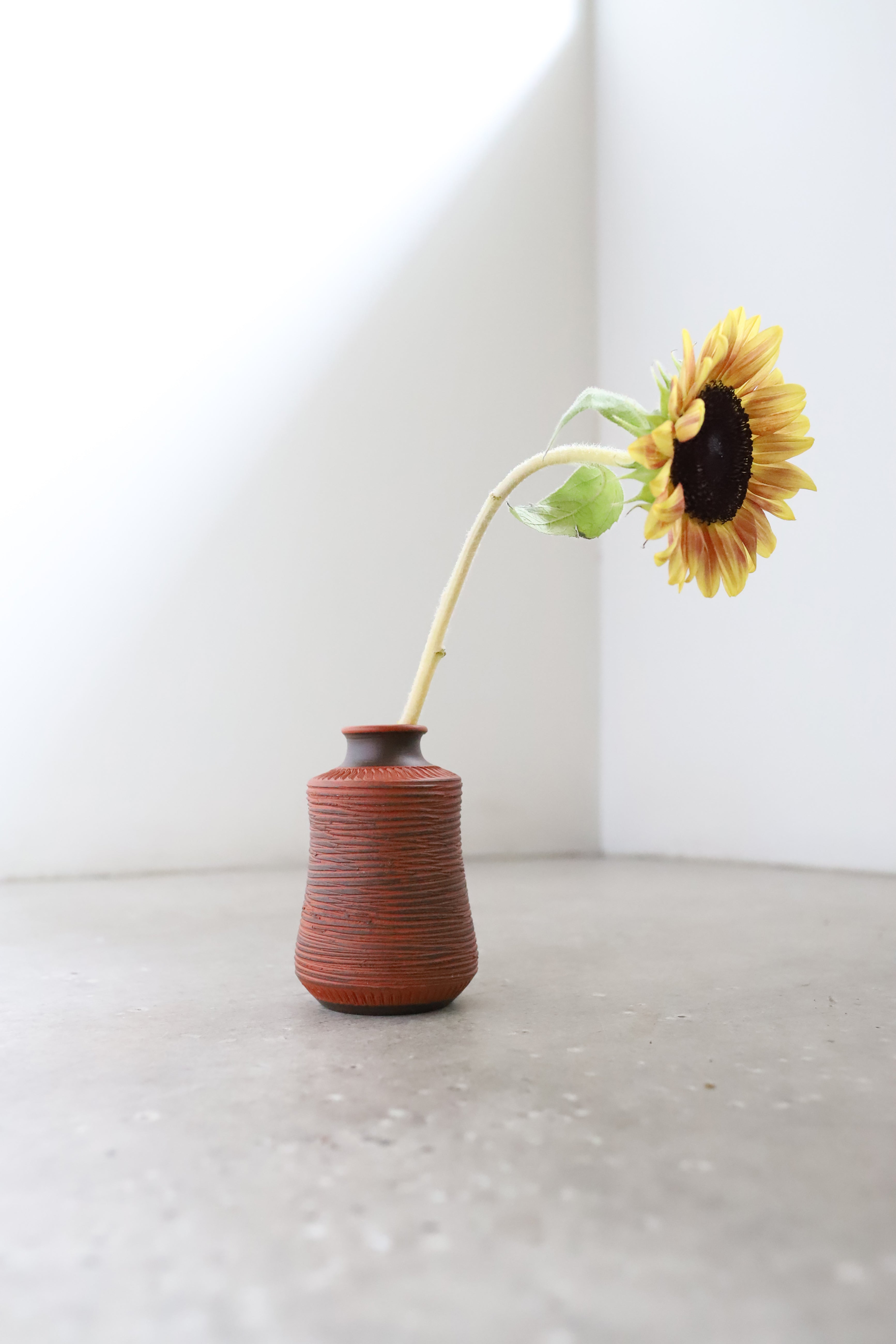 July Vase #4