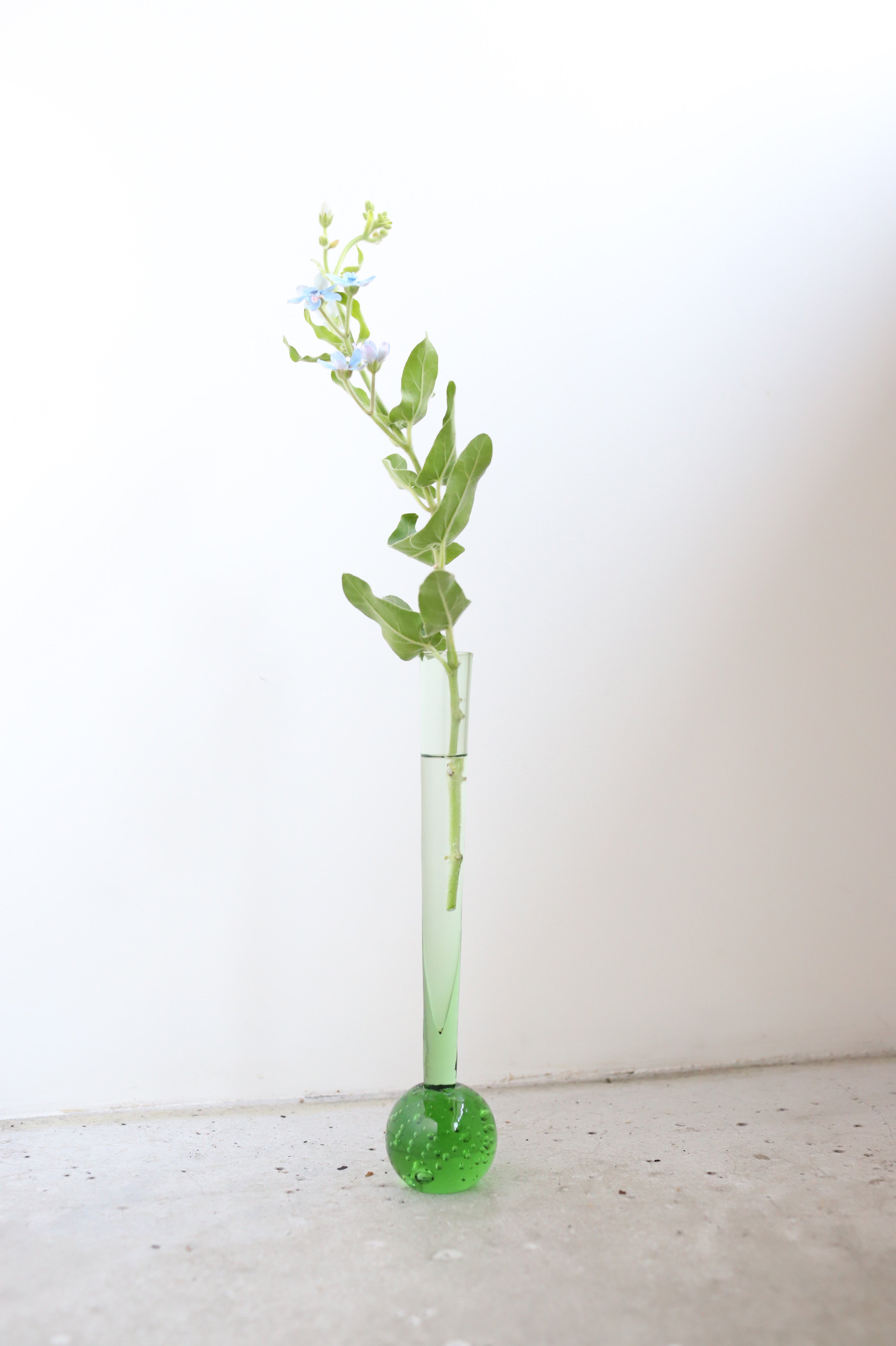 August Vase #26