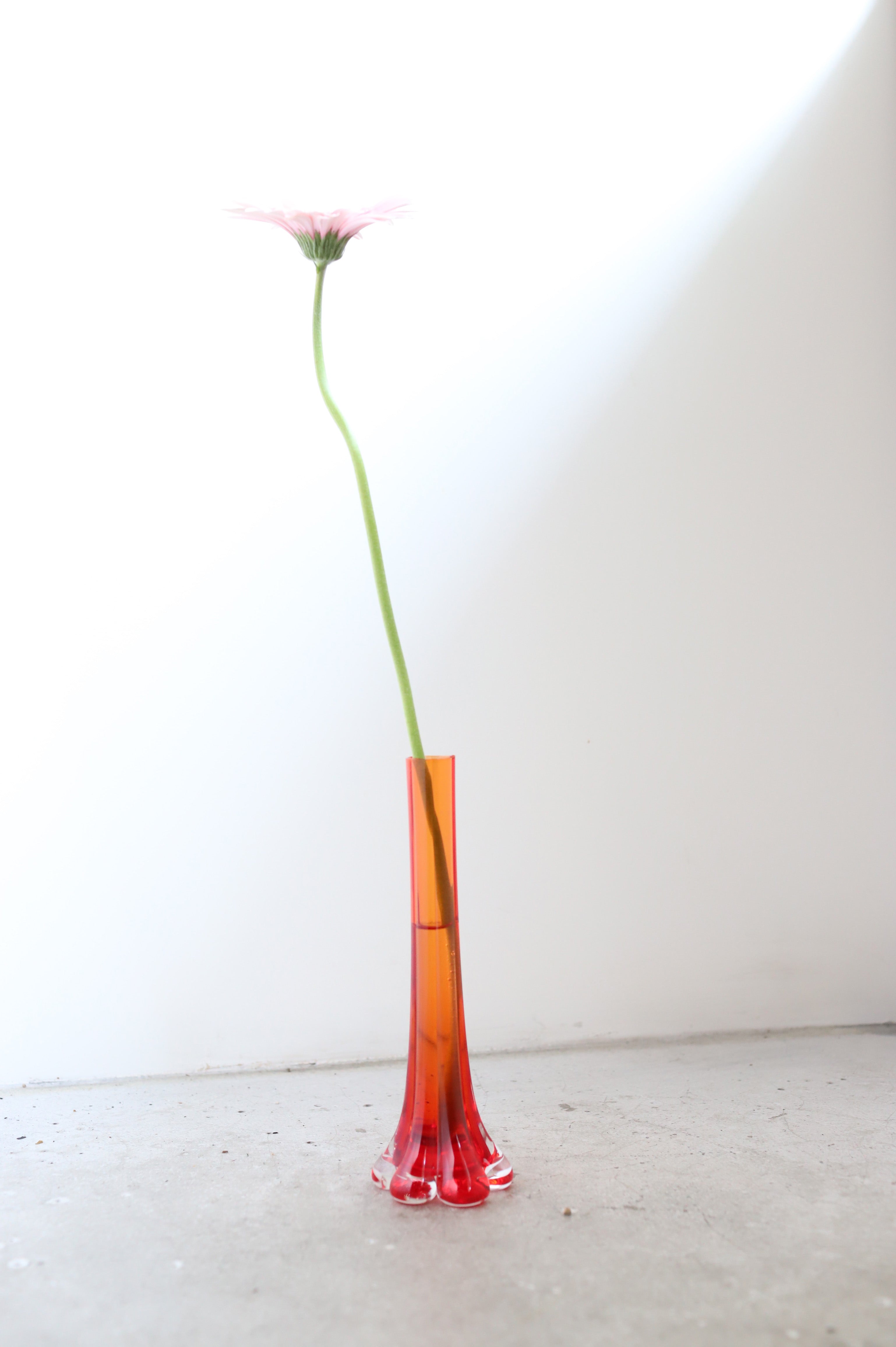 August Vase #19