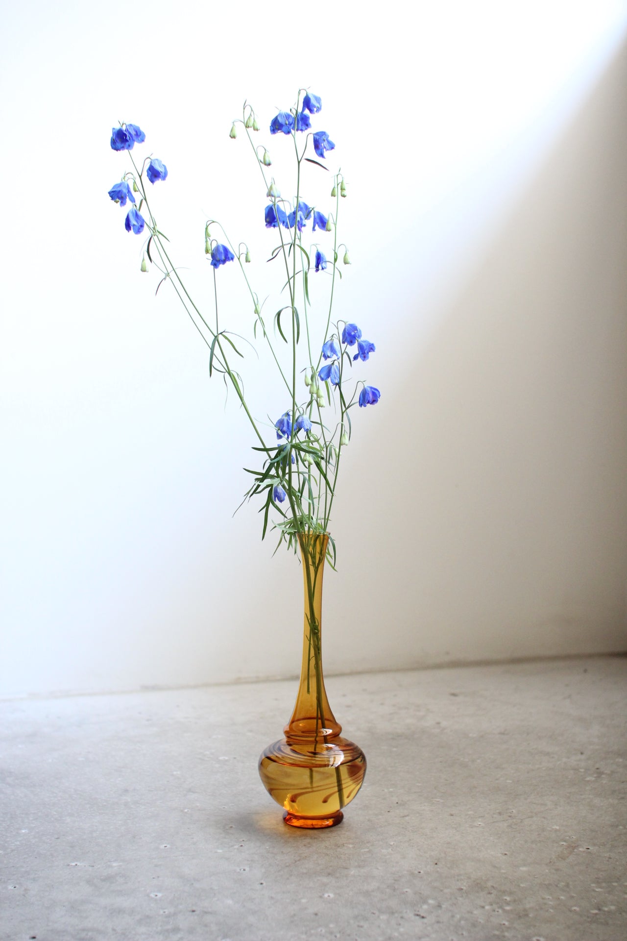 June Vase #14