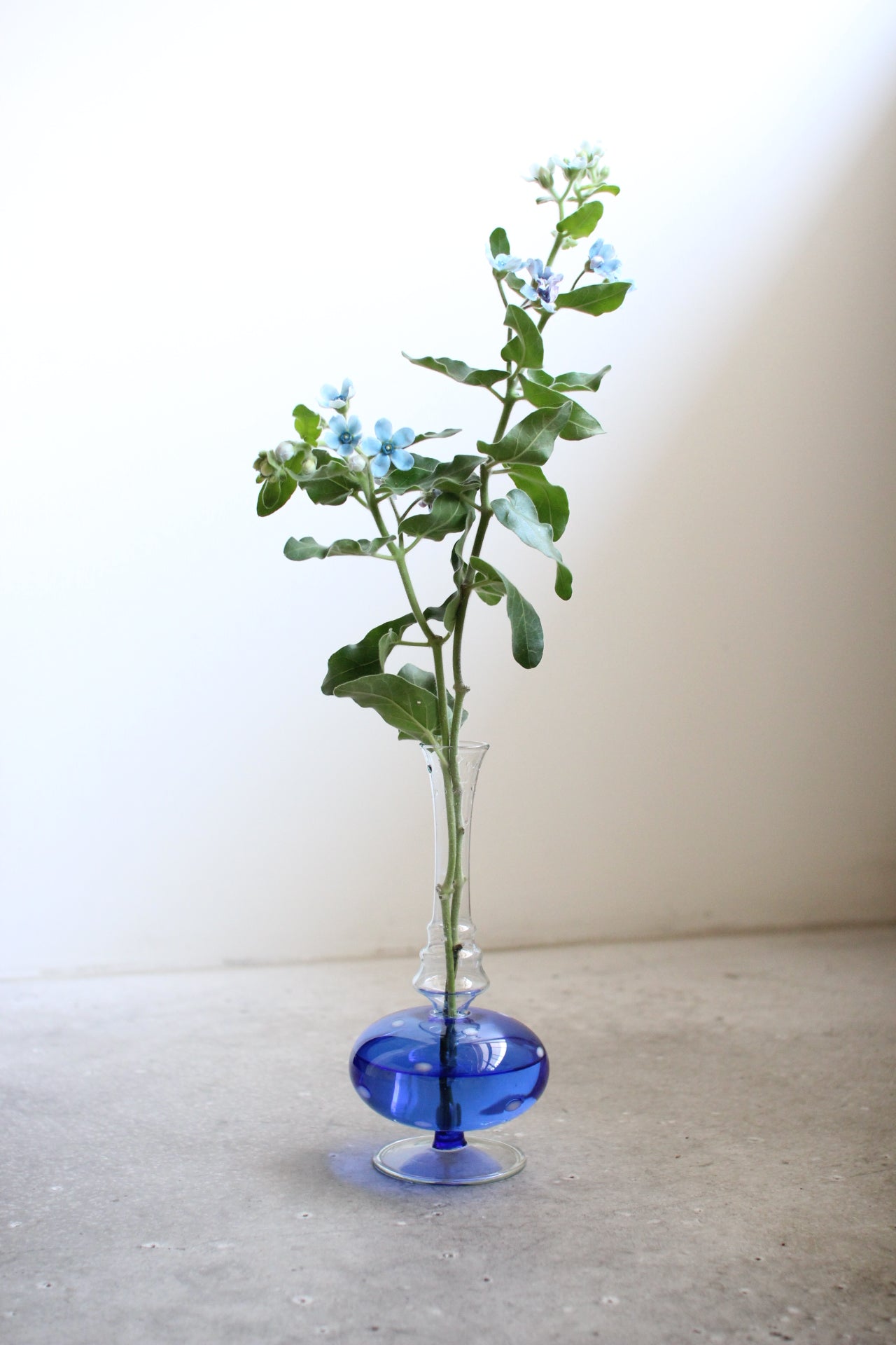 June Vase #13