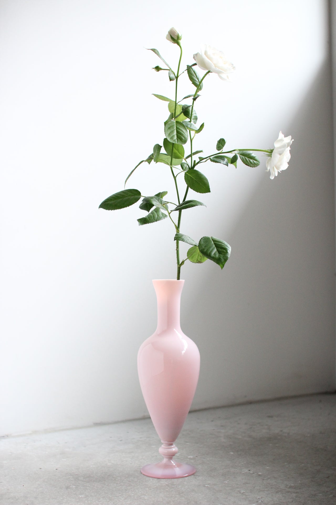 July Vase #6
