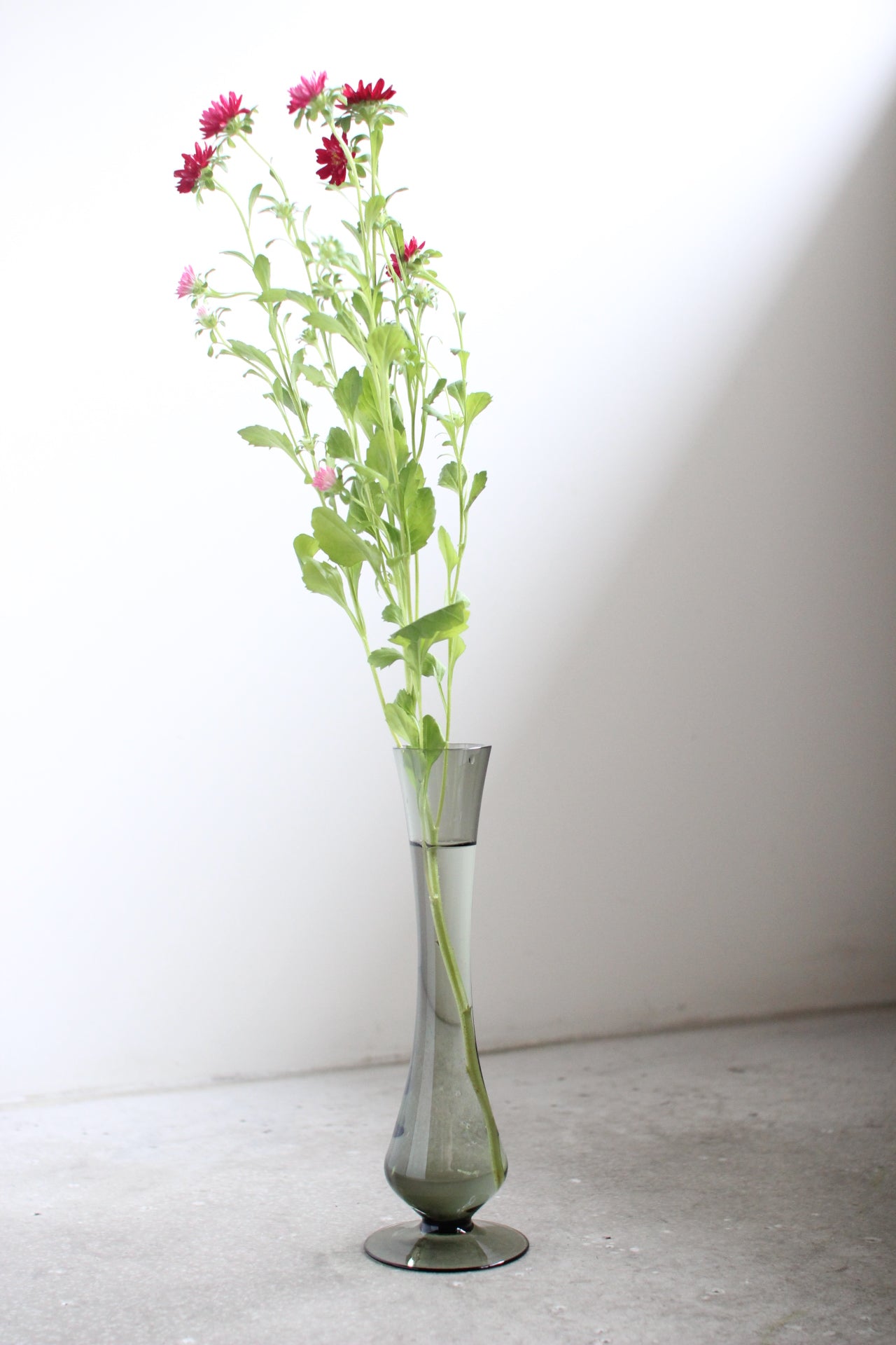 July Vase #13