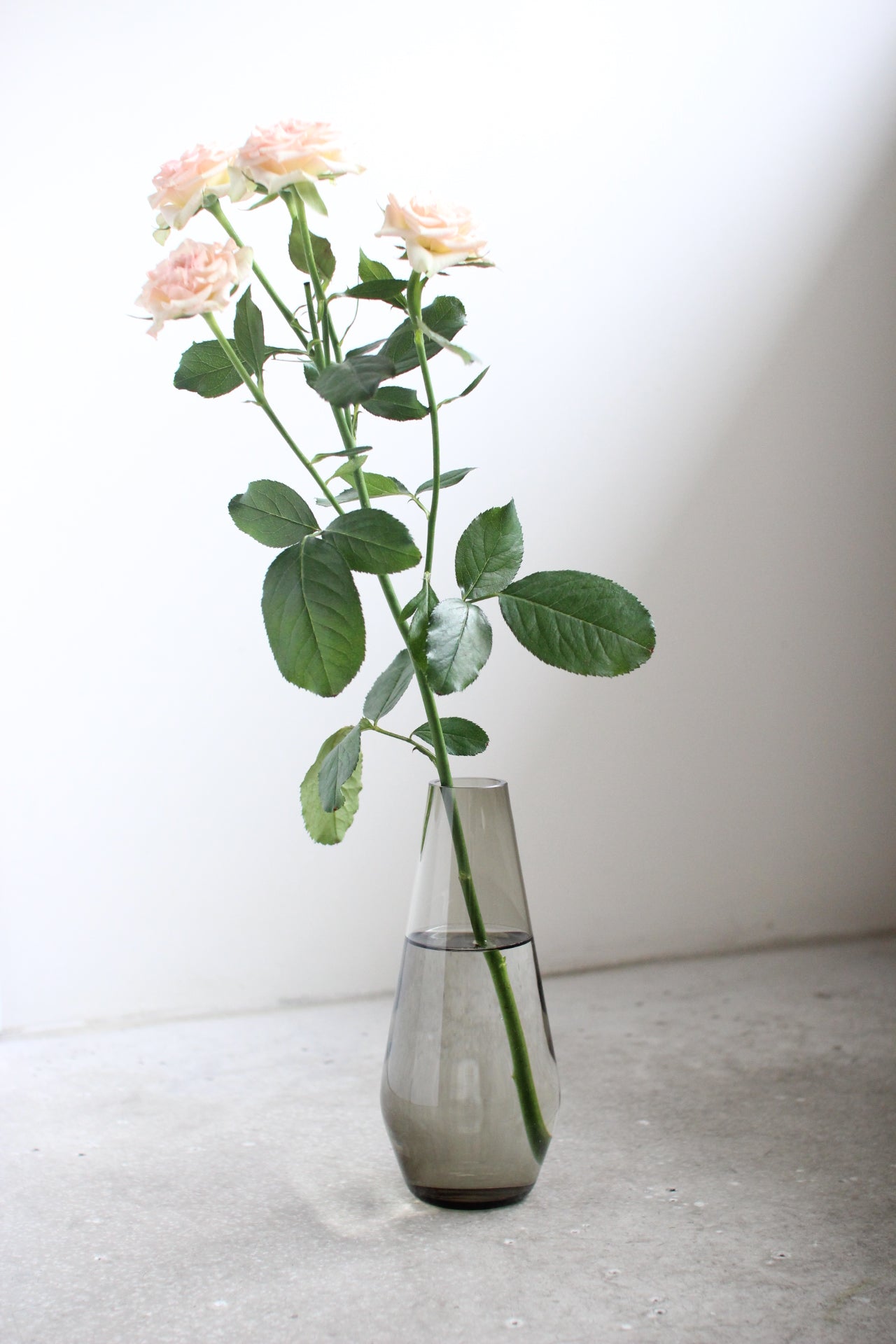 July Vase #15