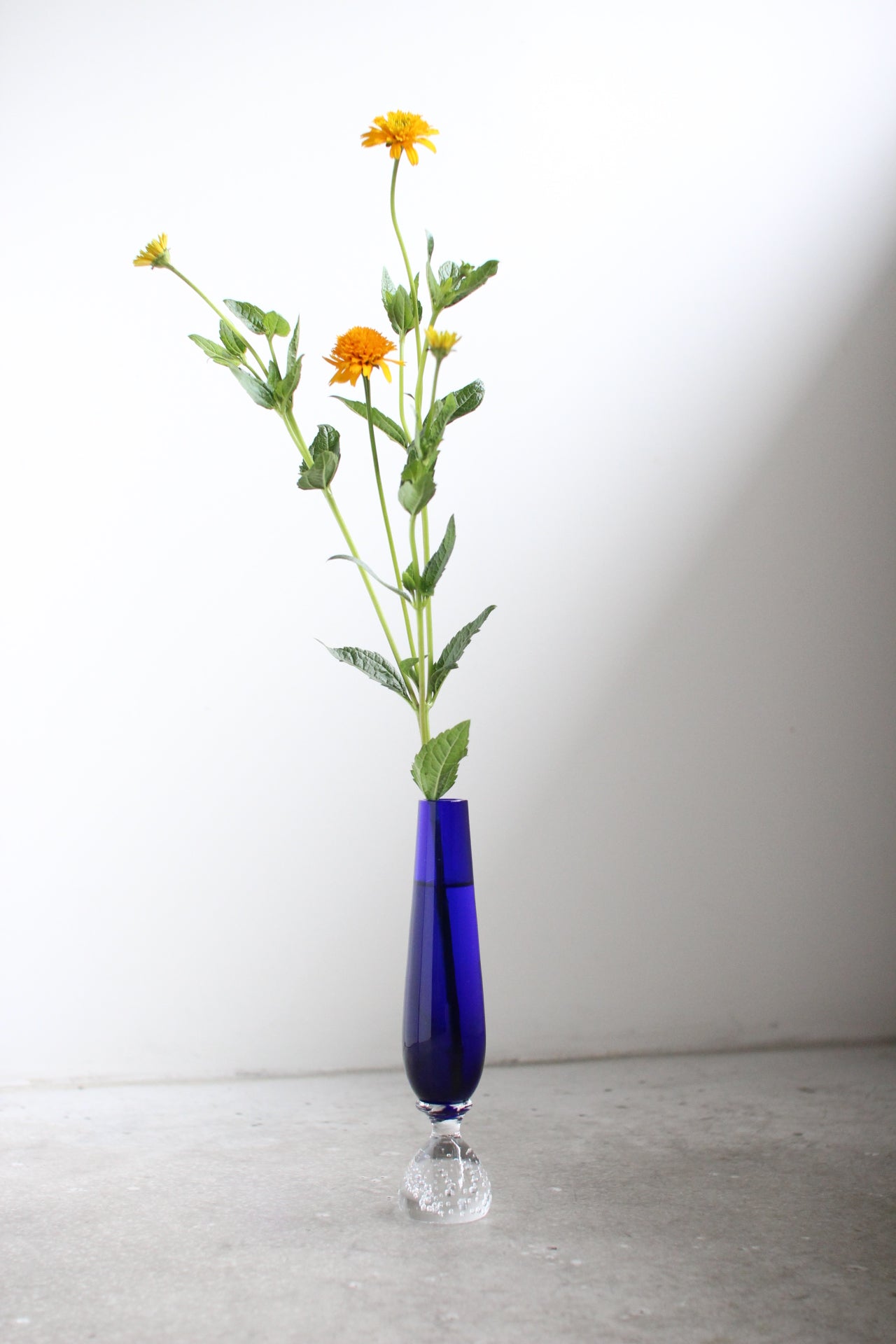 July Vase #21