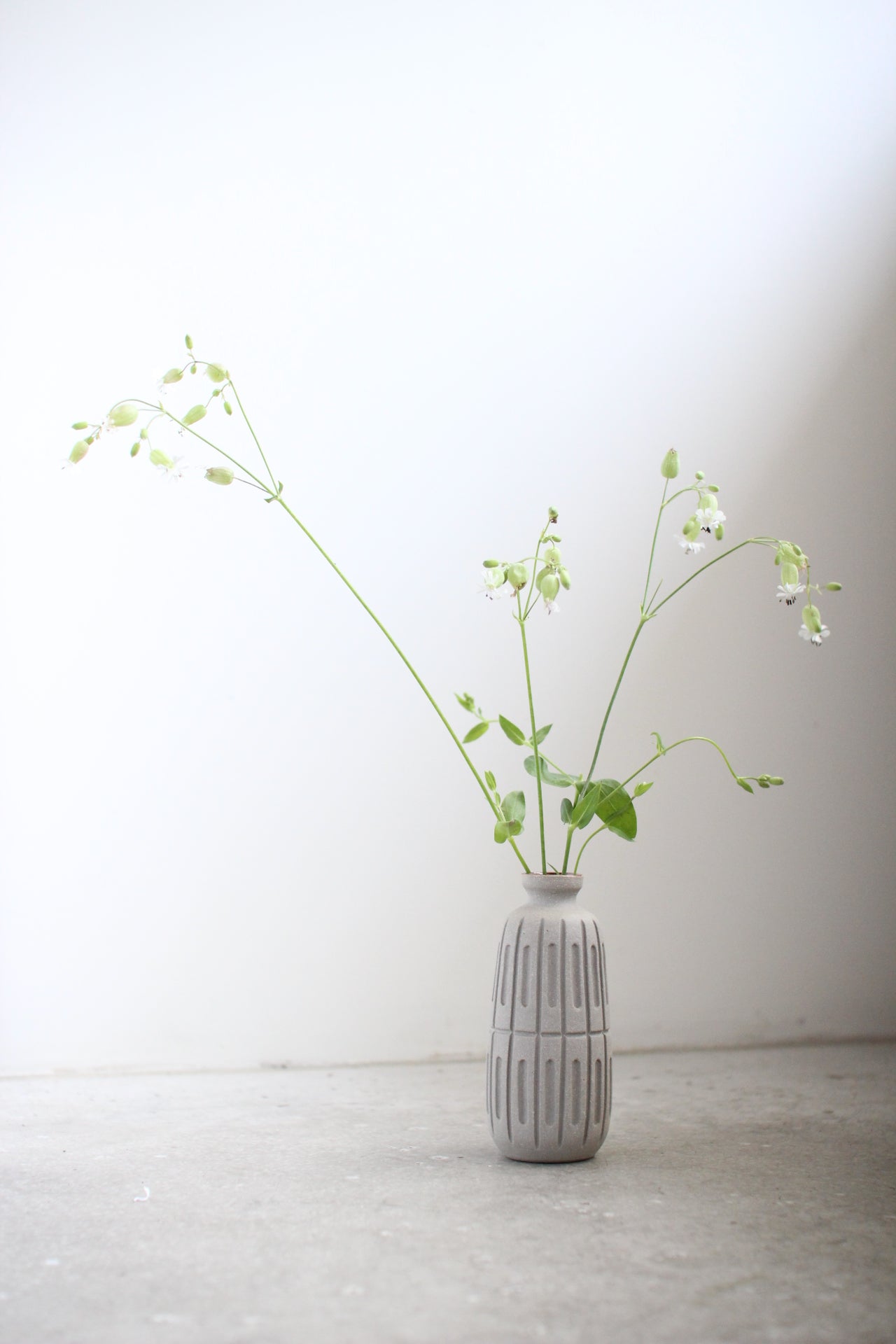 August Vase #9
