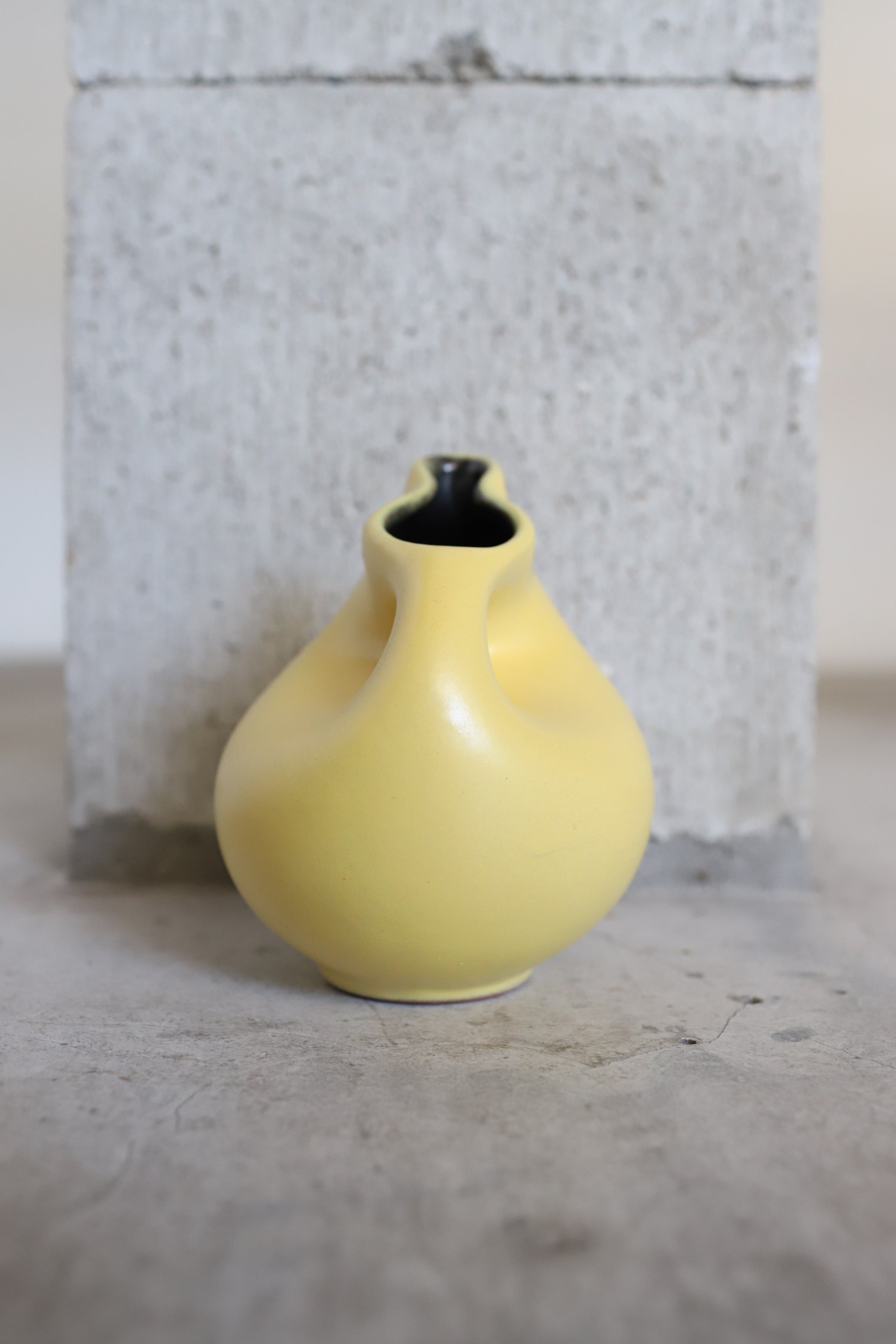 February Vase #7