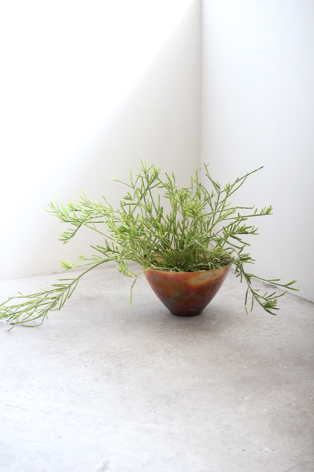 copper pot – Blumo